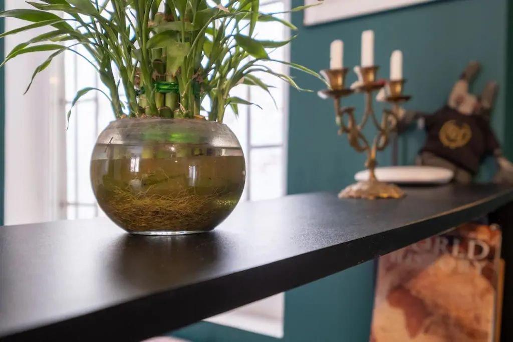 Cool Apartment *